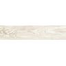 PORCELANATO-ITAGRES-ACTUAL-GRAPIA-ALMOND-ACETINADO-15X67