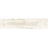 PORCELANATO-ITAGRES-ACTUAL-GRAPIA-ALMOND-ACETINADO-15X67
