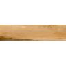 PORCELANATO-ITAGRES-ACTUAL-JATOBA-RUST--RUSTICO-25X103