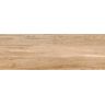 PORCELANATO-ITAGRES-ACTUAL-NATURE-MEL-HD-ACETINADO-22X66