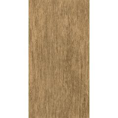 PORCELANATO-ITAGRES-ACTUAL-BOTANICA-NATURAL-ACETINADO-29X565