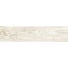 porcelanato-itagres-actual-grapia-almond-acetinado-145x66-01