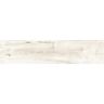 porcelanato-itagres-actual-grapia-almond-acetinado-145x66-05