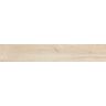 PORCELANATO-PORTO-FERREIRA-MADEIRAS-LEGNO-EUCALIPTO-ACETINADO-17X104
