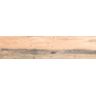 PORCELANATO-ITAGRES-ACTUAL-CARVALHO-NATURAL-ACETINADO-245X1007