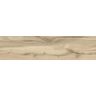 PORCELANATO-DELTA-MADEIRAS-CAJA-ACETINADO-25X100