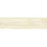 PORCELANATO-ITAGRES-ACTUAL-JACARANDA-LIGHT-BEIGE-HD-ACETINADO-207X868