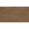 PISO-CERAMICO-VIA-APIA-ECOLOGICA-LAMINATO-AMENDOA-ACETINADO-31X57