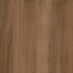 PORCELANATO-DELTA-MADEIRAS-TIMBO-CAJU-BRILHANTE-54X54
