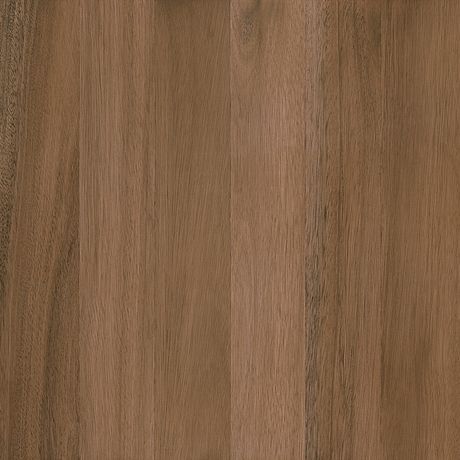 PORCELANATO-DELTA-MADEIRAS-TIMBO-CAJU-ACETINADO-54X54