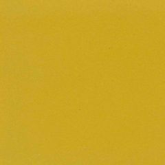 Revestimento-Ceramico-Gail-Piscina-Sport-Extrudado-Amarelo-Brilhante-116x116x9mm