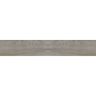 Porcelanato-Incepa-Plus-Alamo-Natural-20x120