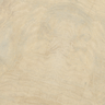 Porcelanato-Delta-Evidence-Jequitiba-Claro-Polido-70x70