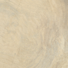 Porcelanato-Delta-Evidence-Jequitiba-Claro-Polido-70x70