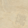Porcelanato-Delta-Evidence-Jequitiba-Claro-Polido-70x70