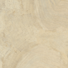 Porcelanato-Delta-Evidence-Jequitiba-Claro-Polido-70x70