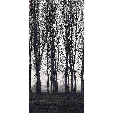 Porcelanato-Lastra-Roca-Bosque-1-Mate-120x250