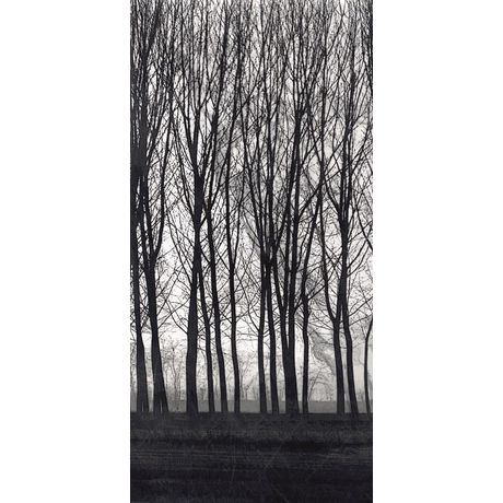 Porcelanato-Lastra-Roca-Bosque-2-Mate-120x250