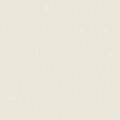 Porcelanato-Incepa-Tecnico-Alpha-Off-White-Polido-80x80