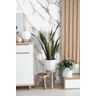 Porcelanato-Itagres-Michelangelo-Decor-Acetinado-50-x-100.7