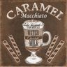 Revestimento-Gabriella-Cafe-Marrom-CAFE-MR-00-Kit-12-Pecas-Brilhante-20X20