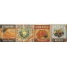 Faixa-Ceramica-Gabriella-Bisote-Vintage-BSV02-Brilhante-16X61