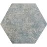 Piso-Ceramico-Gabriella-Hexagonal-Tropicalia-Acetinado-e-Brilhante-17X20