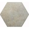 Piso-Ceramico-Gabriella-Hexagonal-Tropicalia-Acetinado-e-Brilhante-17X20