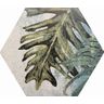 Piso-Ceramico-Gabriella-Hexagonal-Tropicalia-Acetinado-e-Brilhante-17X20
