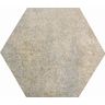 Piso-Ceramico-Gabriella-Hexagonal-Tropicalia-Acetinado-e-Brilhante-17X20