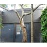 Pastilha-Jatoba-Urbano-5X5-JU5620-Cinza-Escuro-Acetinado-303X303