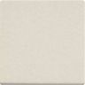 Pastilha-Jatoba-Natural-25X25-JN6100-Branco-Gelo-Rustico-303X303