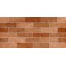 Revestimento-Ceramico-Embramaco-Metropolitan-Brown-Acetinado-46x100