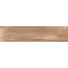 Piso-Ceramico-Embramaco-Madra-Mate-23x100