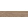Piso-Ceramico-Embramaco-Nogueira-Acetinado-23x100