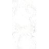 Porcelanato-Ceusa-Carrara-Acetinado-60x120