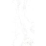 Porcelanato-Ceusa-Carrara-Polido-60x120