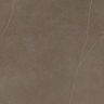 Porcelanato-Portinari-Apogeu-Brown-Hard-100x100