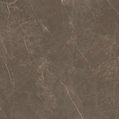 Porcelanato-Portinari-Castellon-Brown-1-Natural-120x120
