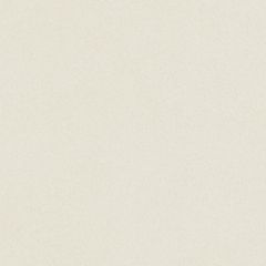 Porcelanato-Portinari-Maestro-Stone-Off-White-Natural-60x60