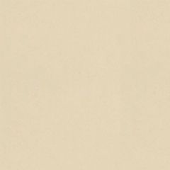 Porcelanato-Tecnico-Pietra-Prime-Portinari-Neutral-Natural-90x90