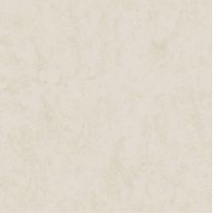 Porcelanato-Via-Rosa-Cimento-Almond-AD-Acetinado-72x72