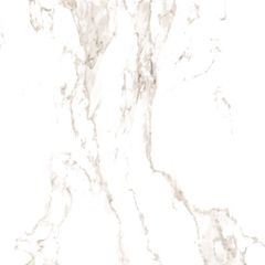 Revestimento-Ceramico-Ceusa-Carrara-Polido-120x120