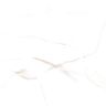 Porcelanato-Via-Rosa-Calacata-Gold-Polido-71x71