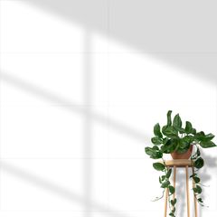 Piso-Ceramico-Via-Rosa-Semi-Gres-Classic-White-Acetinado-35x72