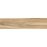 piso-ceramico-rox-arau-acetinado-25x110-17.jpg