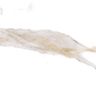 piso-ceramico-lef-polazzo-brilhante-57x57-4.jpg
