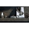 porcelanato-villagres-aviles-natural-805x140.jpg