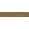 porcelanato-castelli-arbo-caramelo-out-abs-rustico-20x122