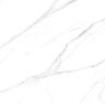 porcelanato-castelli-master-peterhof-satiny-acetinado-123x123-3